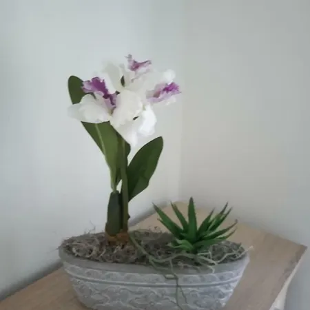 Hannaa Apartman Apartman Hévíz
